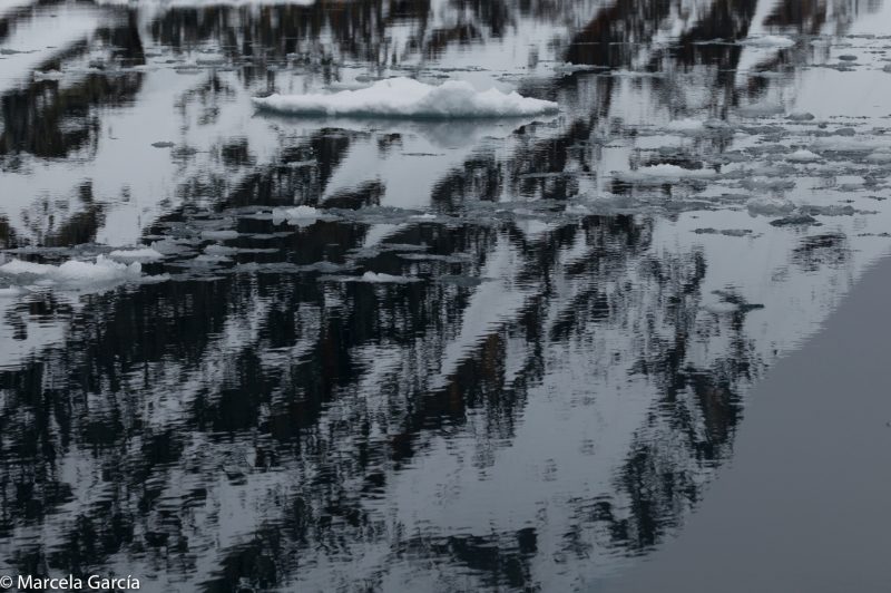 Canal Lemaire, Antártica