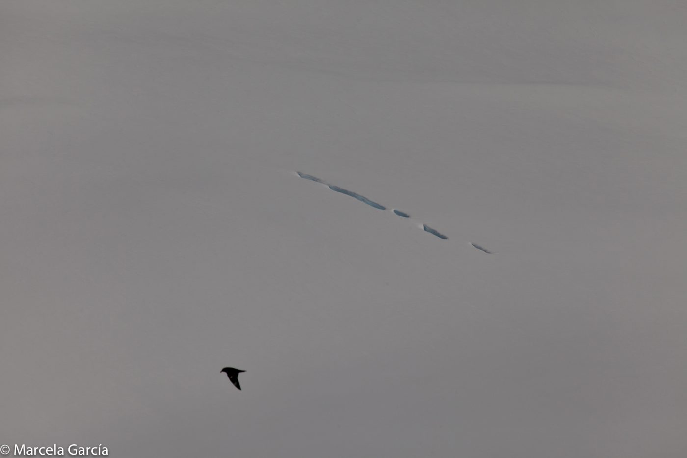 Península Antártica