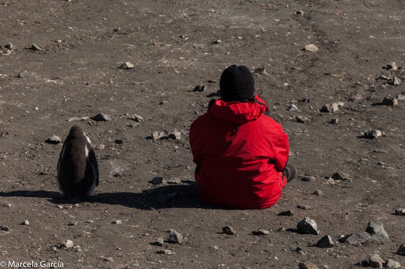 Descanso, Antártica