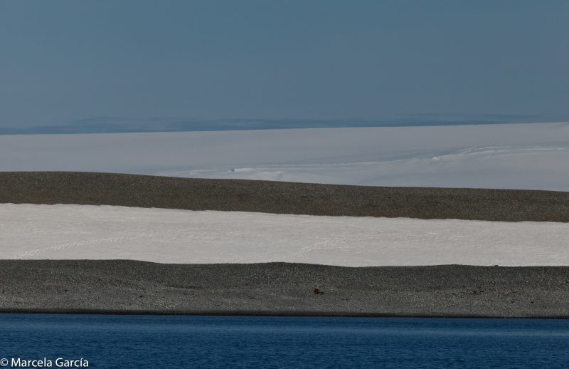 Península Antártica