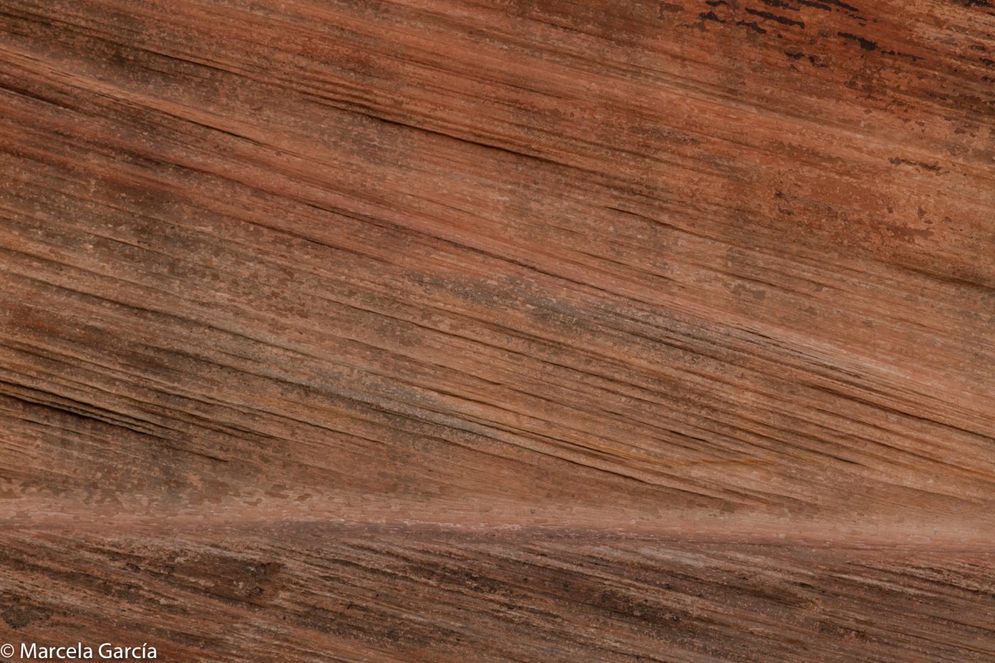 Cañón de Zion