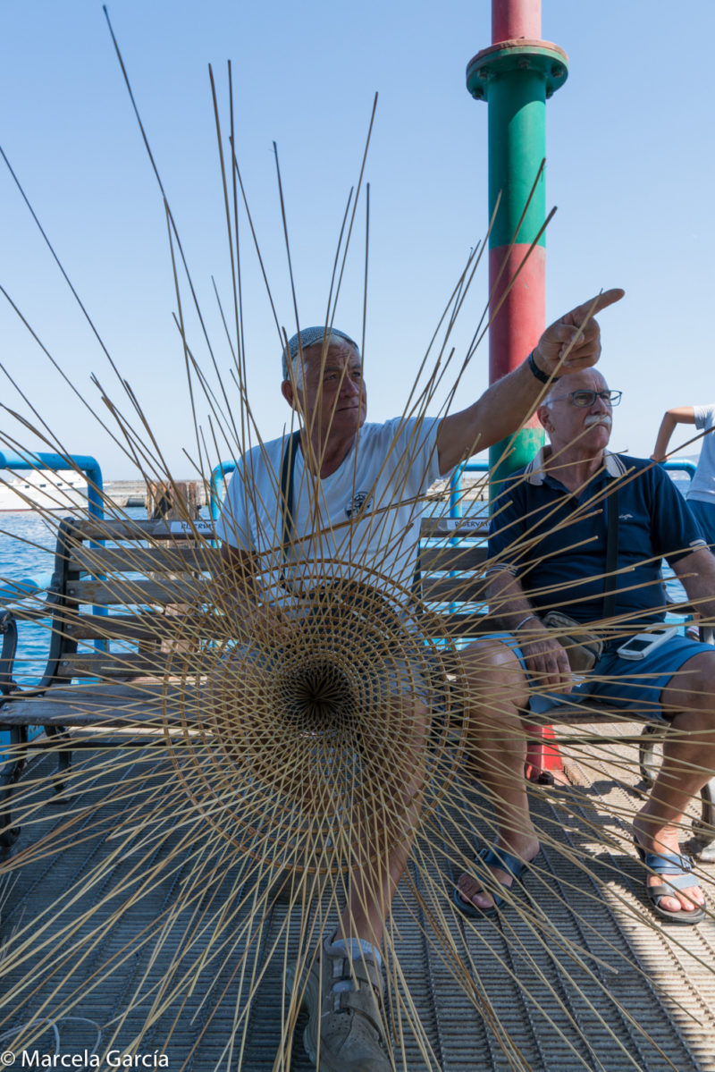 Tejedor de sombreros, isla Salina