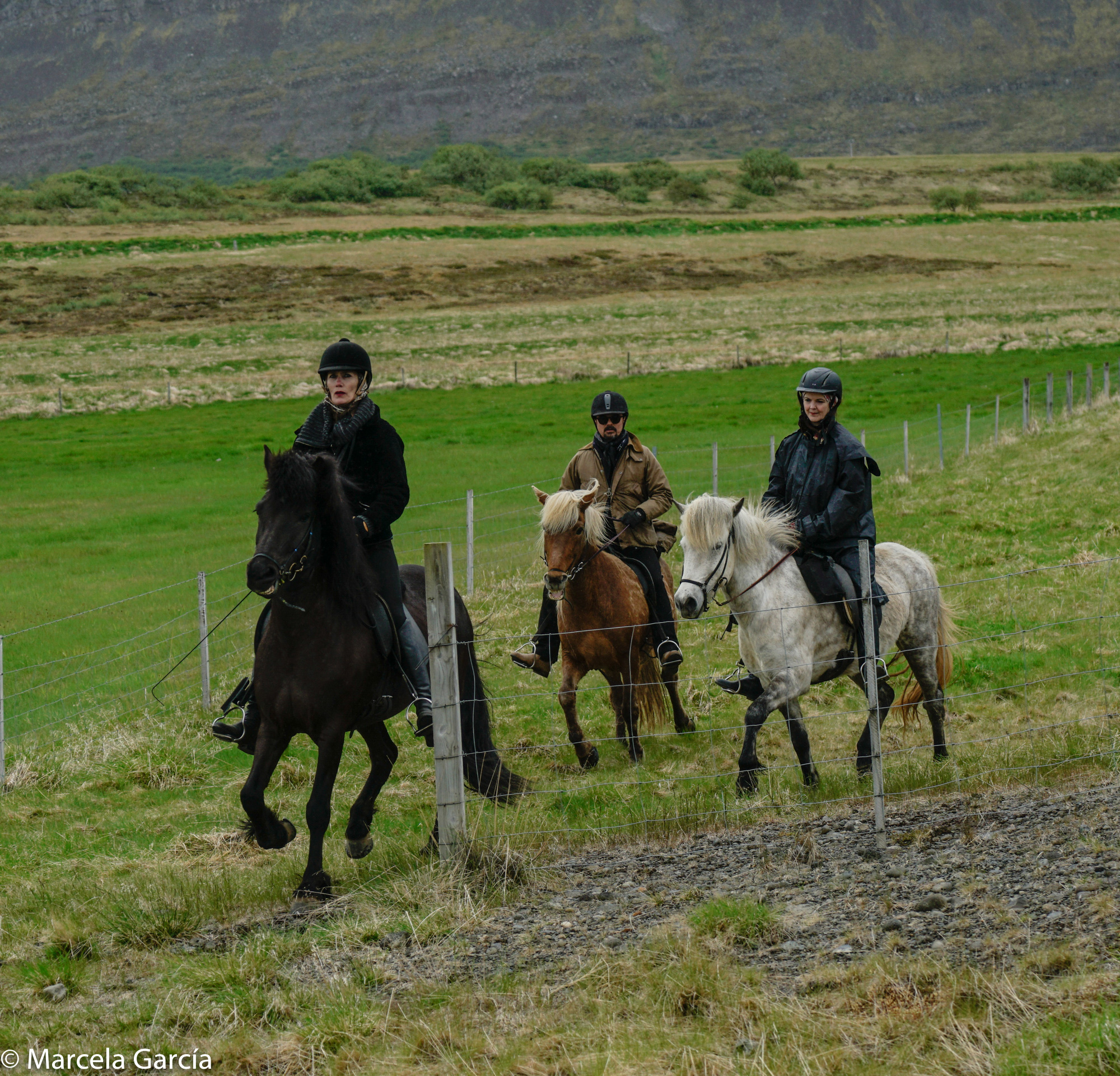 Jinetes en Borgarfjördur