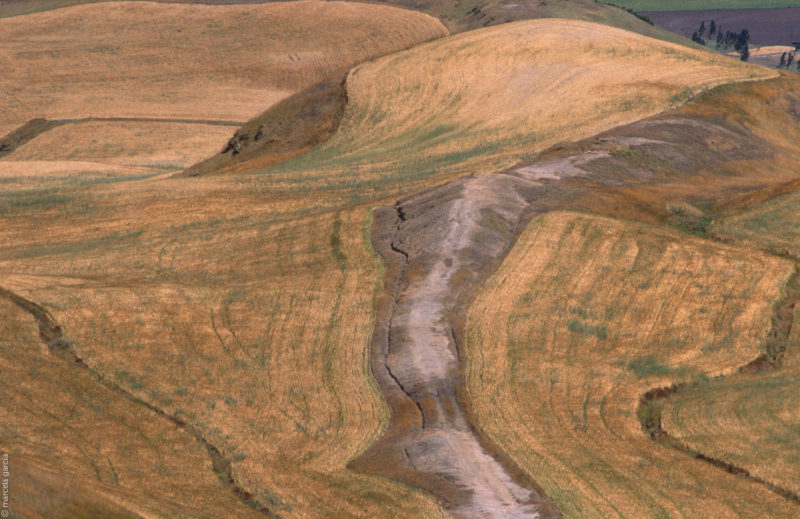 Campos de cebada, Imbabura