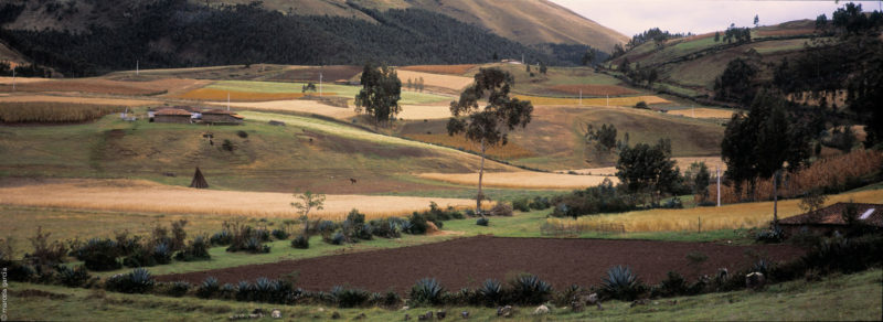 Chacras en Olmedo, Imbabura