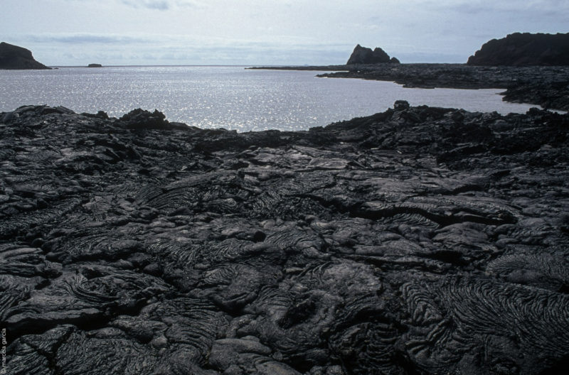 Galápagos 2