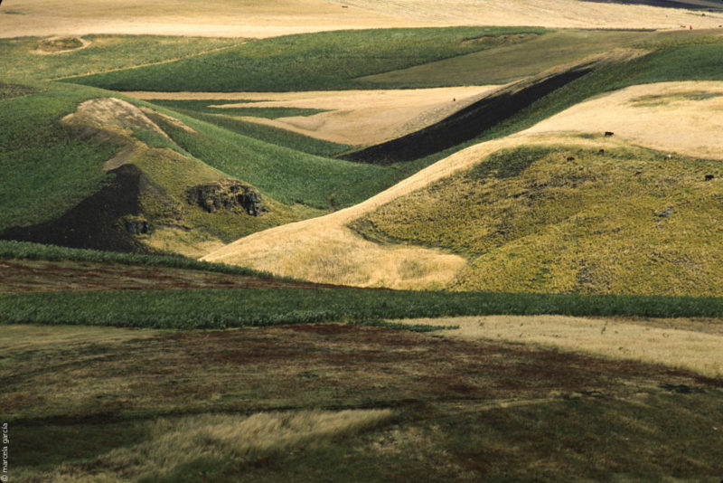 Ozogoche, Chimborazo