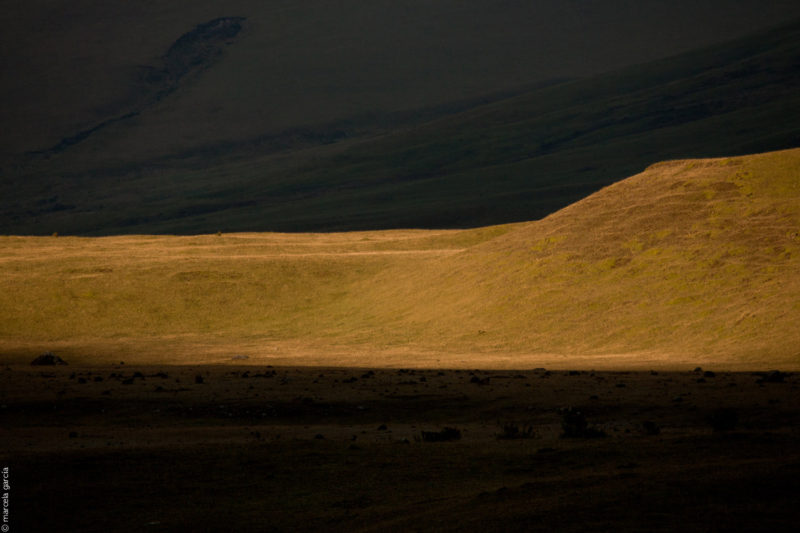 Páramo del Antisana 2