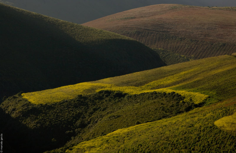 Páramo del Antisana