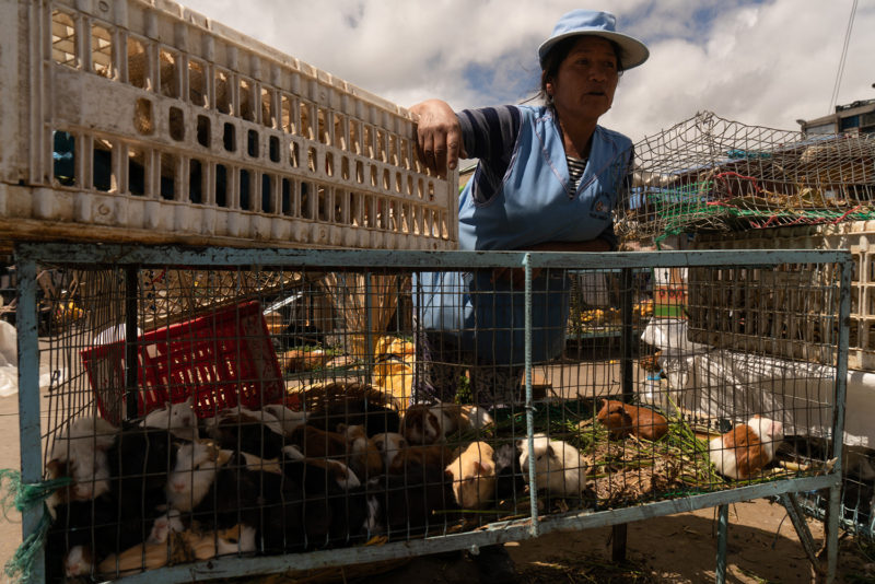 Saquisilí, Cotopaxi