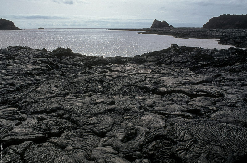 Isla-Santiago, Galápagos