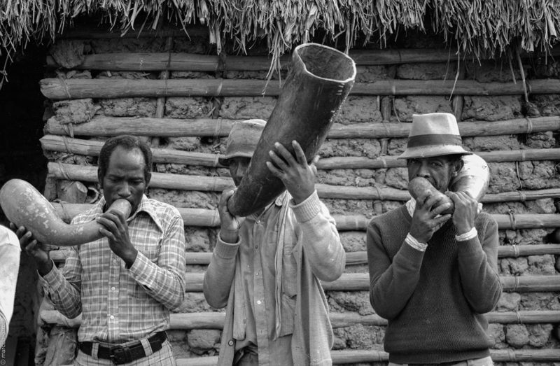 Banda Mocha del Chota