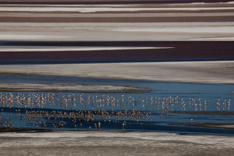 Laguna Colorada