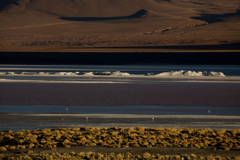 Laguna Colorada