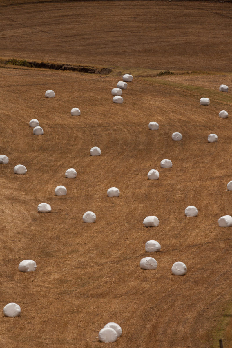 Pacas de forraje, Zuleta