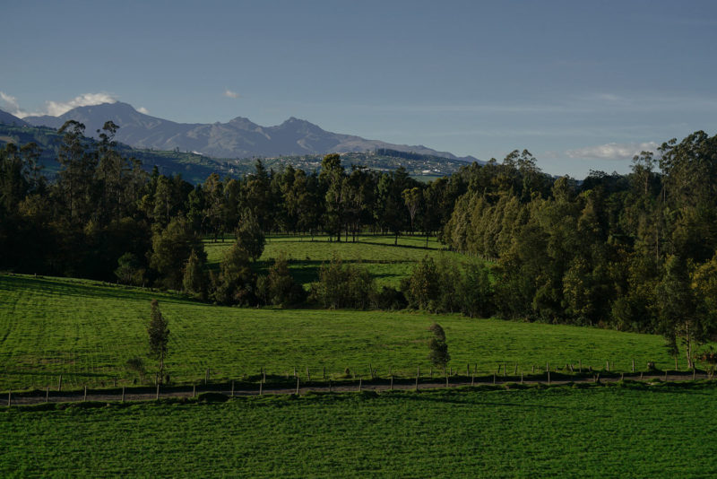 Hacienda lechera, Machachi