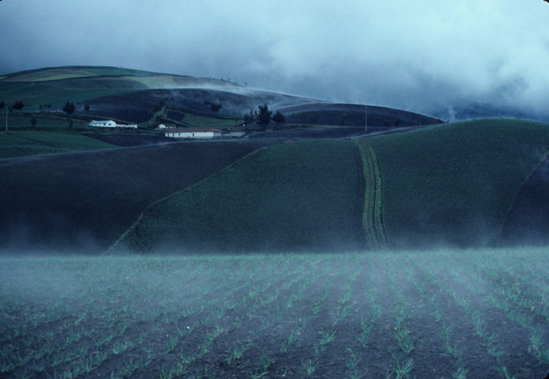 Sembríos de altura, Chimborazo