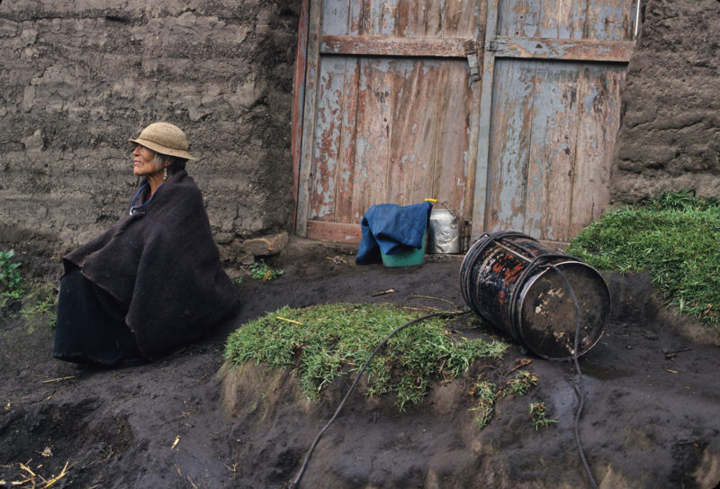 Llevando agua, Cebadas