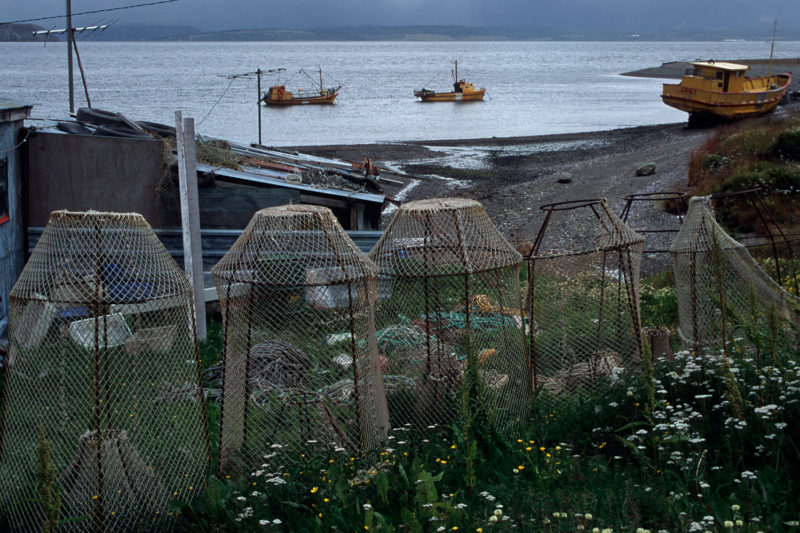 Secando las redes, Pto. Almanza