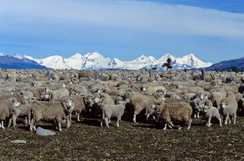 Estancia La Soledad, Lago Argentino